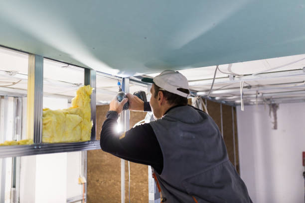 Best Residential Insulation in Red Chute, LA