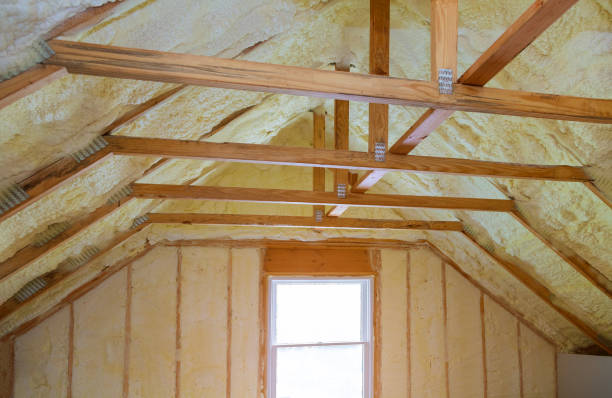 Best Spray Foam Insulation in Red Chute, LA