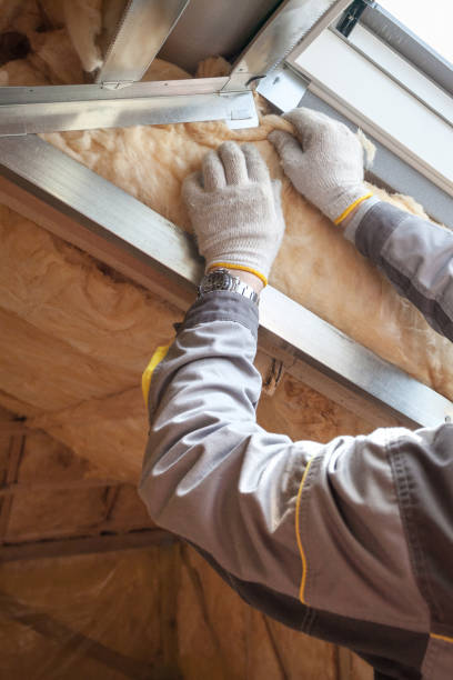 Best Residential Insulation in Red Chute, LA
