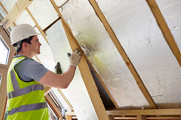Best Geographic-Specific Insulation Services in Red Chute, LA