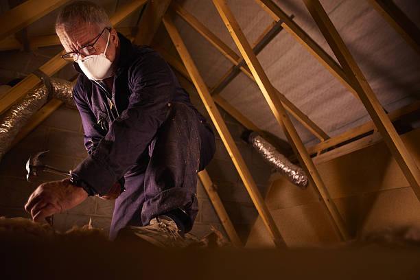 Best DIY Insulation Kits and Guidance in Red Chute, LA